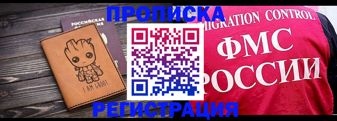 прописка 2025 в Светлогорске